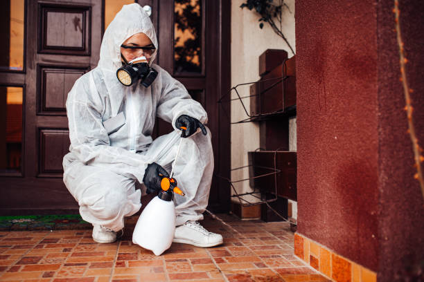 Attic and Crawl Space Rodent Treatment in Avila Beach